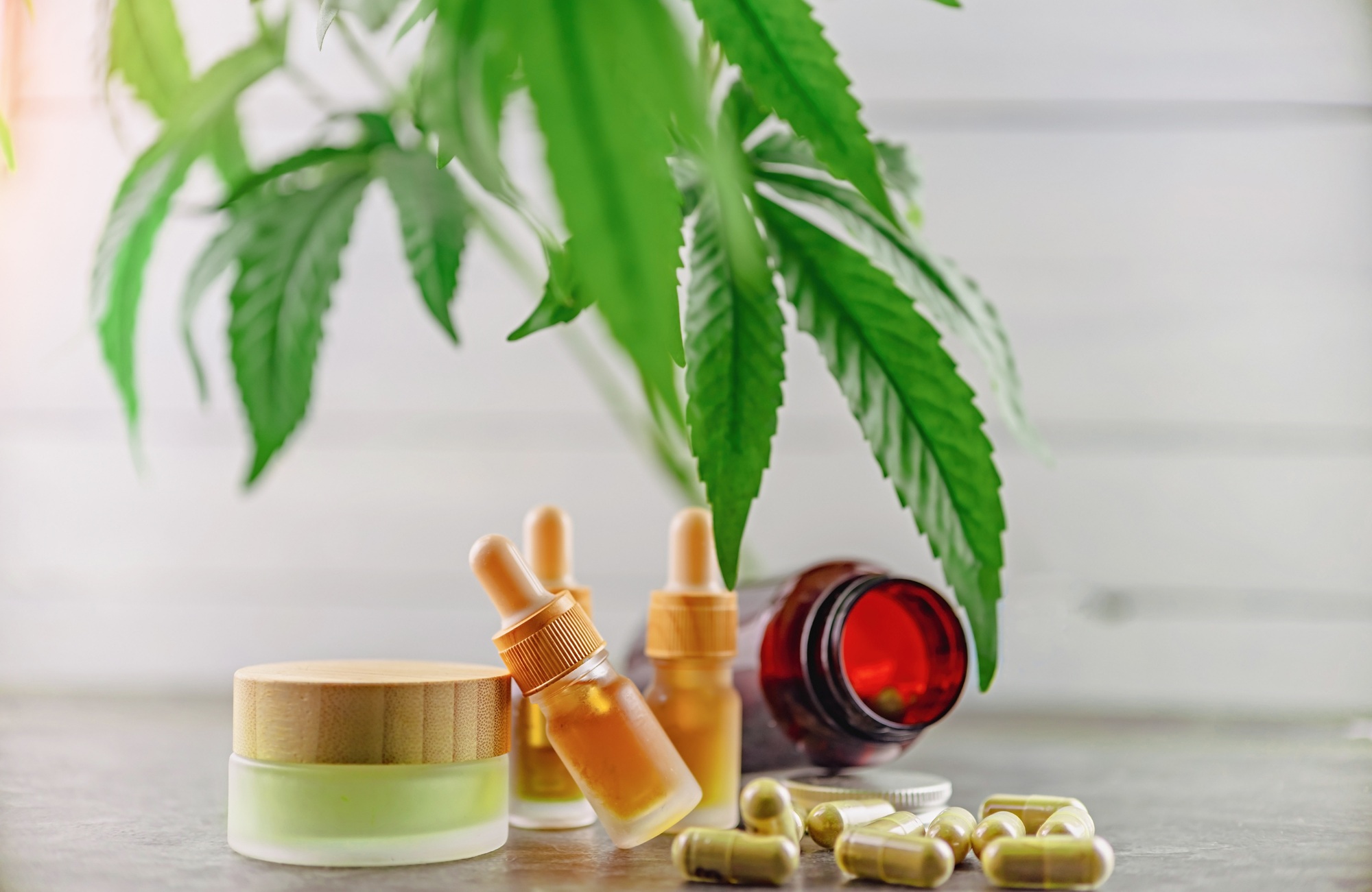 CBD and HHC oil capsules and balm, Medical marijuana products with Cannabis plant