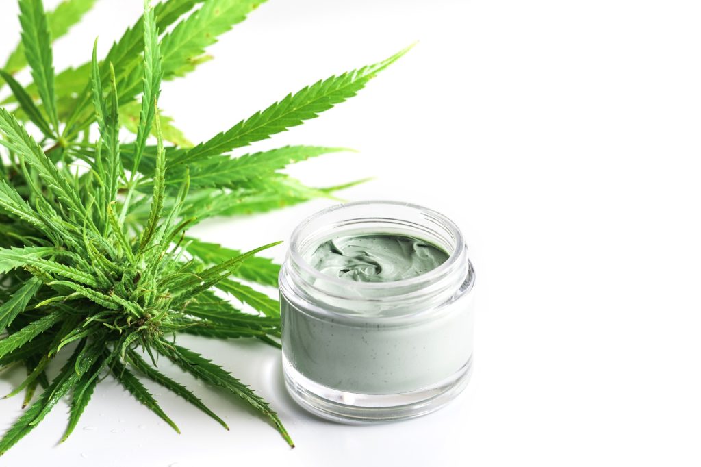 Green cannabis plant and jar with a moisturizing cream