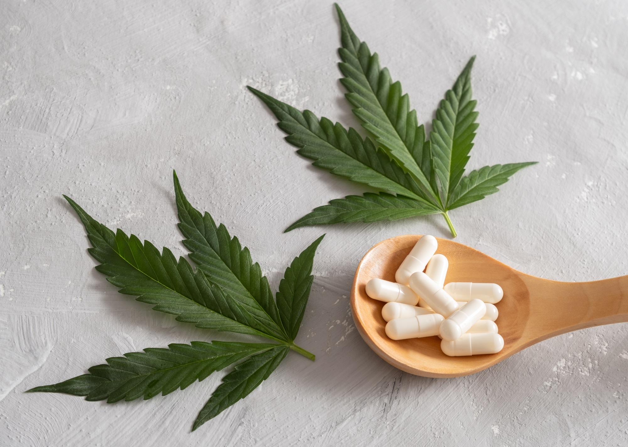 Spoon full of white capsules and green cannabis leaves on gray concrete background.