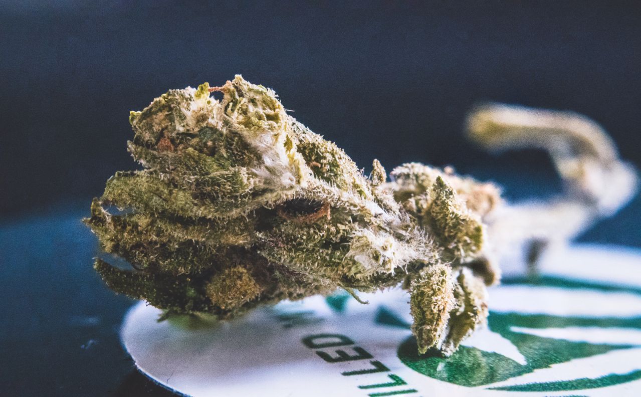 Cannabis Flower
